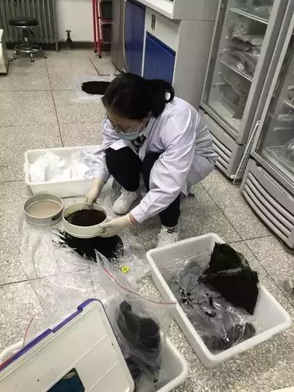 谁说环境学博士就是挖土做实验?我们也能大数据分析做得飞起