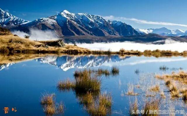 爱他美奶粉澳洲跟新西兰哪个好,新西兰爱他美奶粉价格