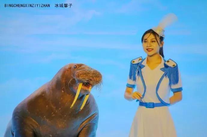 哈尔滨极地公园极地馆时间,哈尔滨极地公园和极地馆区别