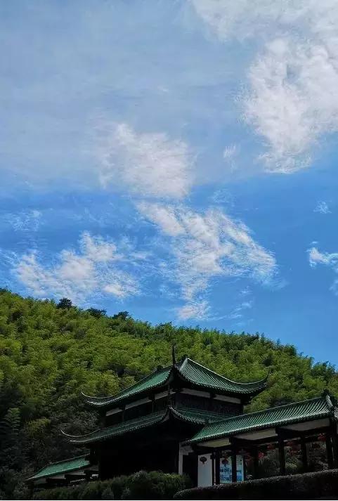 宜兴竹海吹起了一股简洁风,吹来了一波纯色壁纸~