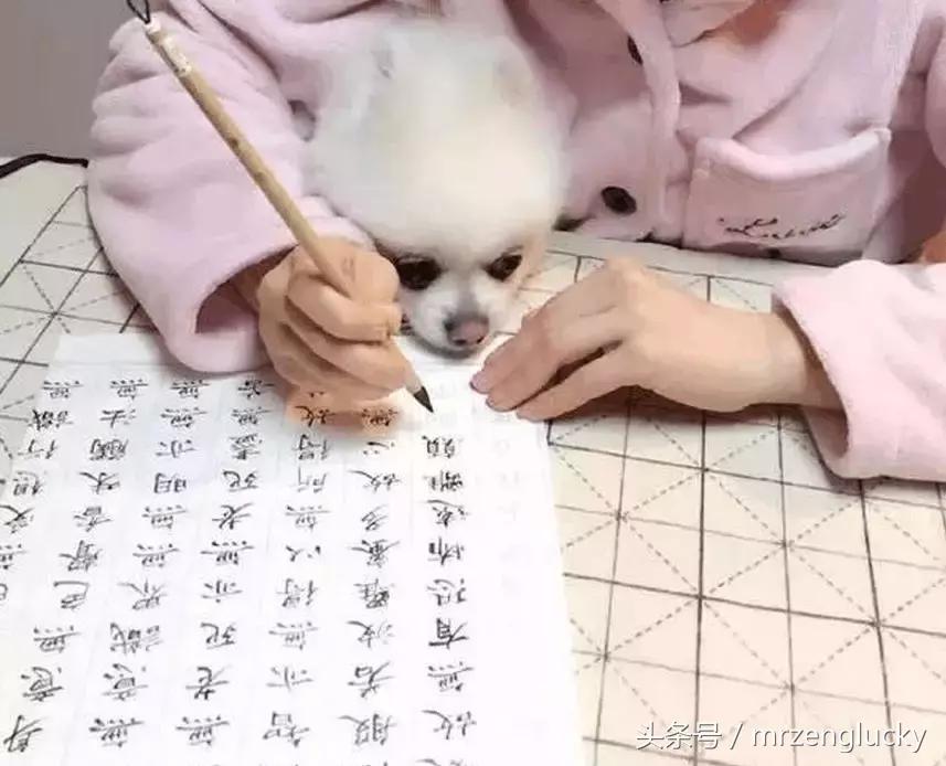 多写字能让字变好看吗,多写字手会变好看吗