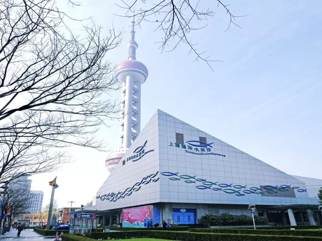 南京到上海公交,在南京坐公交车去上海