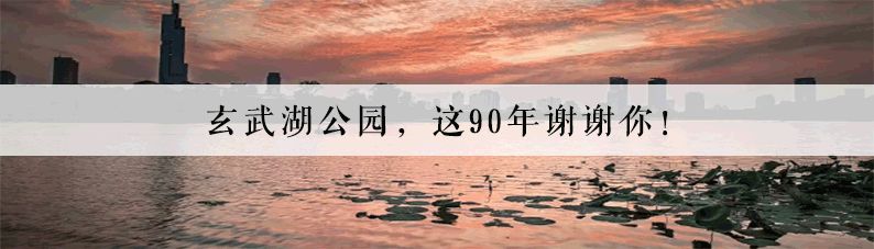 科巷菜场改造效果图,科巷菜场的变迁