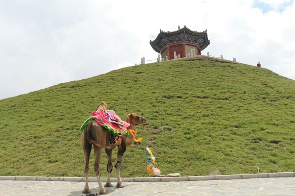 七天西安旅游走华山,西安华山风景区