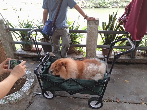 顺德逢简水乡出名小店,顺德逢简水乡属于哪个镇