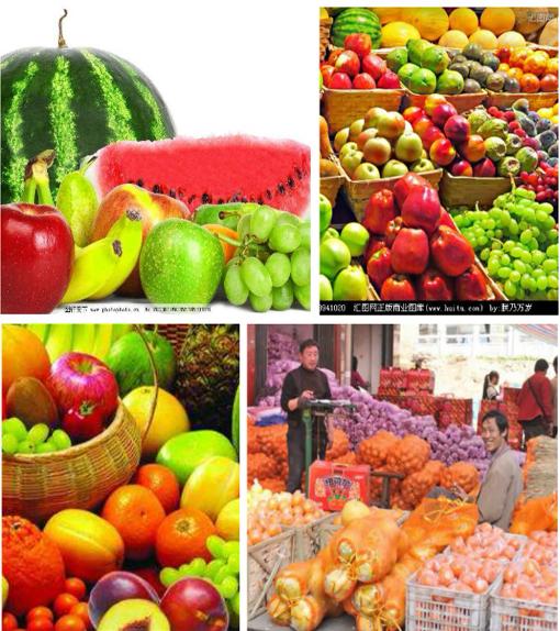 长春各个行业批发市场,长春水果蔬菜批发市场价格便宜的