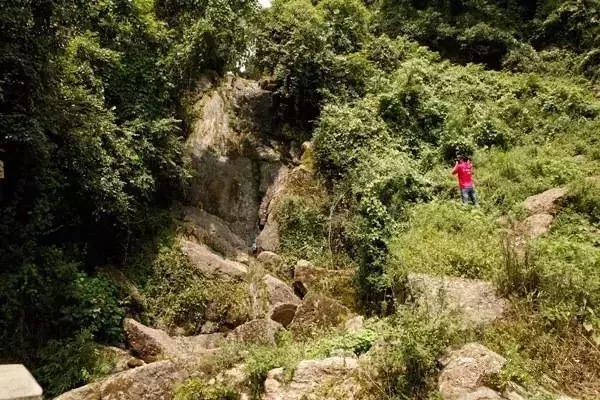 成都1.5h刹拢的山水宝地，集合n种清凉耍法，还可当天打来回！