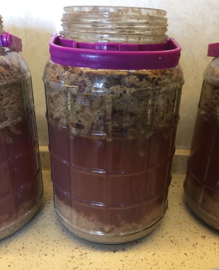 自酿葡萄酒怎么判断葡萄酒坏掉了,葡萄酒怎么酿家庭版