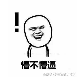 孕妇适合用的网红化妆品,孕妇致畸药物有哪些