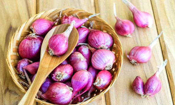 虚火牙痛怎么快速止牙痛,晚上快速止牙痛百试百灵