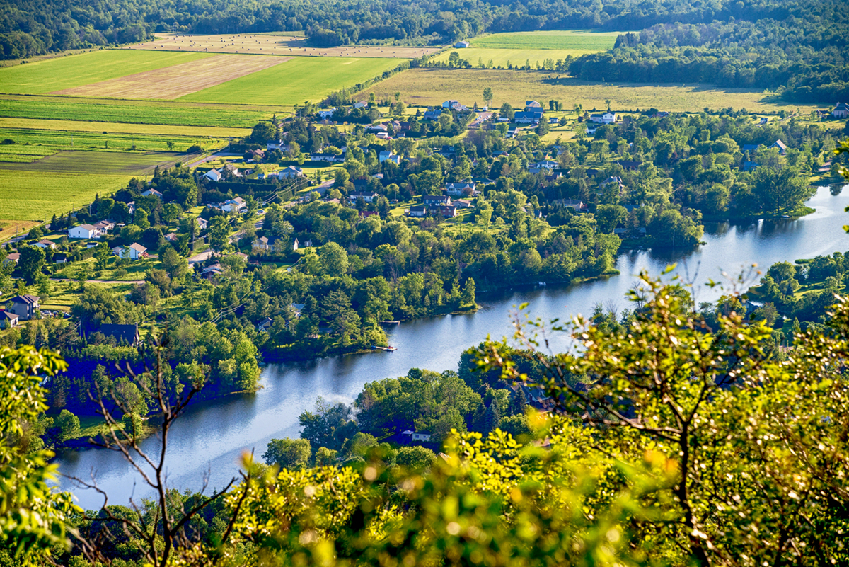 厉害了，加拿大人大概把所有热情都给了它？猜猜是什么