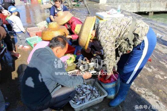 湛江各个渔港,广东渔港码头开海新情况
