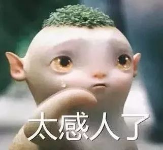 执行利剑内容简介,执行利剑啥意思