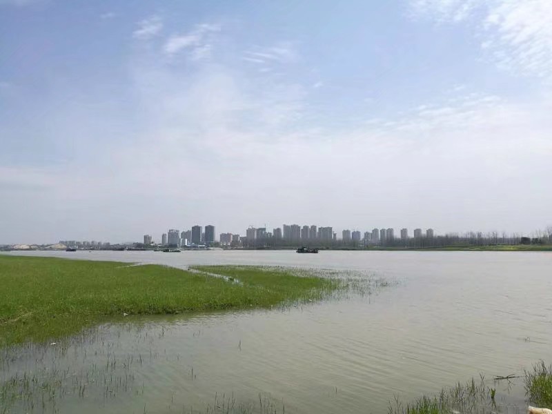 桐城八景荻埠归帆,荻埠归帆