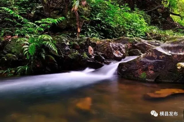 骞胯タ妯幙鑼夎帀鑺变埂瑙嗛,骞胯タ妯幙鑼夎帀鑺变埂