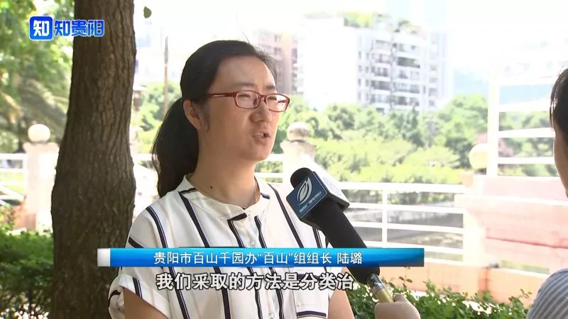 “百山治理”之后，我市这些山体都披上了绿装，有你常见到的吗？