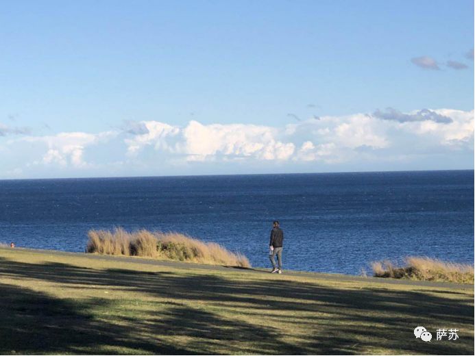 澳洲华人个个都是李小龙?卖米粉伙计扎马步,IT经理打跑小流氓