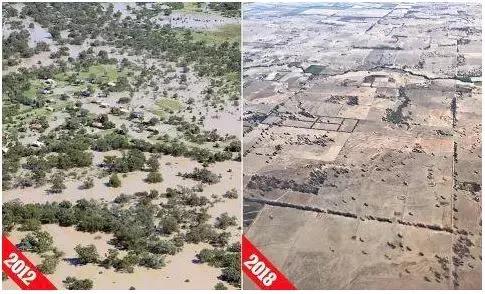 澳洲a2奶粉为什么最近涨价,澳洲a2奶粉涨价