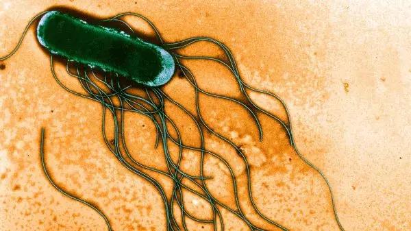 进口奶粉是不是受疫情影响,目前进口奶粉会受疫情影响吗