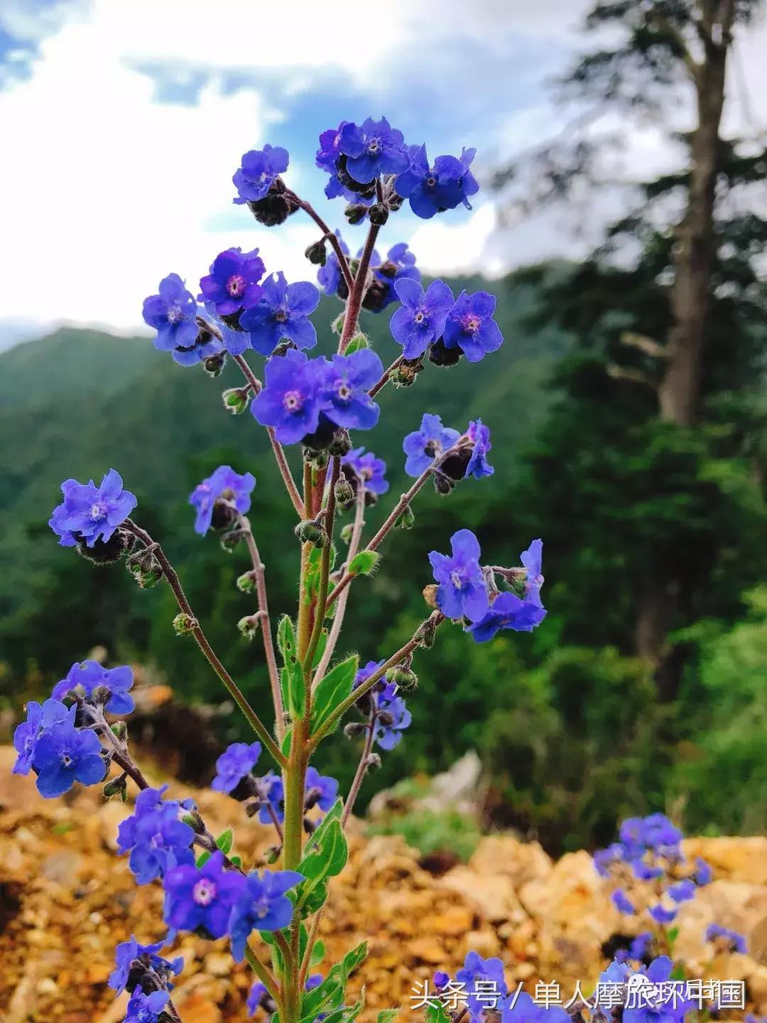 摩旅日记：第18、19天体验彝族村寨火把节