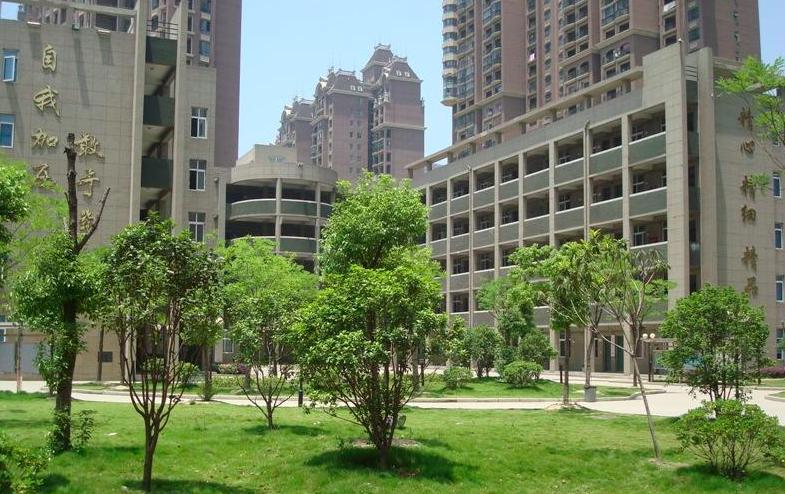 合肥三十八中学小升初,合肥三十八中高中怎么样