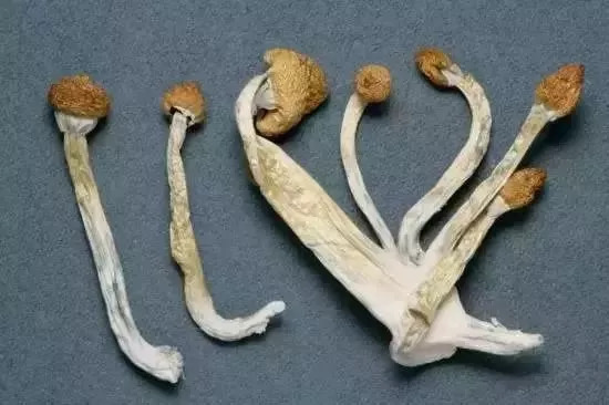 太可怕!做微商竟成毒贩!新型*品毒**“蓝精灵”出现,女孩小心了!