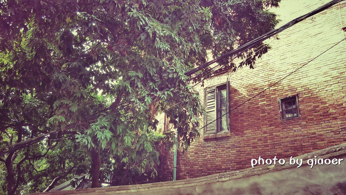 福州老仓山洋房游览攻略,福州老仓山洋房攻略