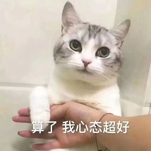 家长看过来→石景山入学哪家强？洼地里挑“姚明”