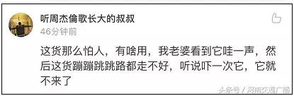 养蜘蛛能除蟑螂吗,蜘蛛能灭蟑螂吗