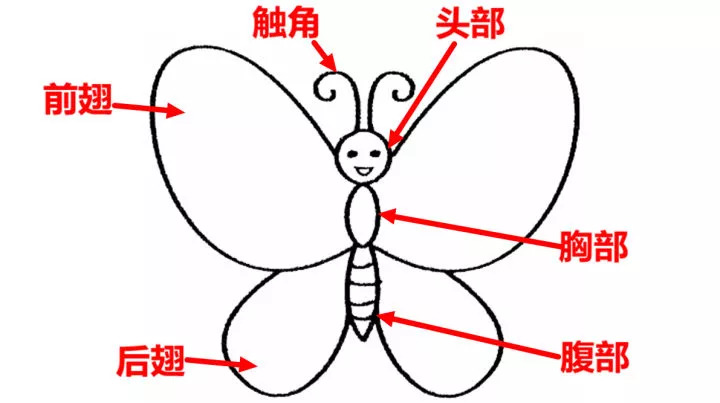 钢化玻璃爆裂鉴定方法,钢化玻璃怎么判断自爆