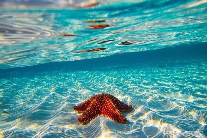 朋友圈句句刺痛人心的唯美句子,最适合发朋友圈的句子精辟到噎人