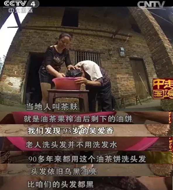 哪些洗发水中有危害成分,有哪些成分的洗发水要避雷