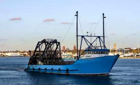 蛏子扇贝各种贝类如何区分,海鲜蛏的品种大全