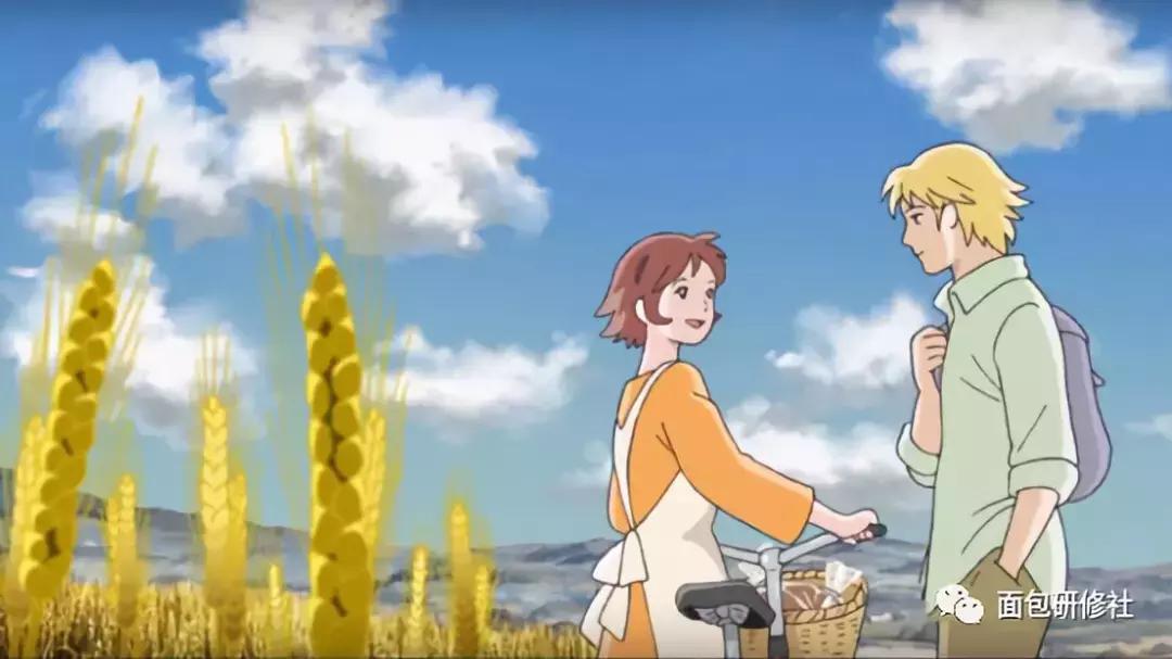 学员成长故事,职业培训学员故事