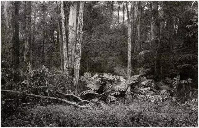 顶级超写实钢笔画,最惊艳的钢笔画大神