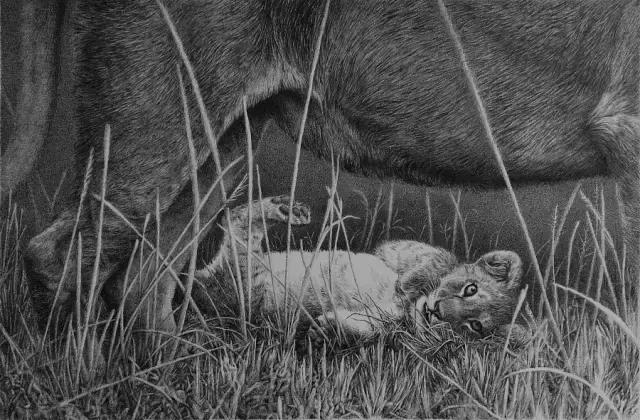 顶级超写实钢笔画,最惊艳的钢笔画大神