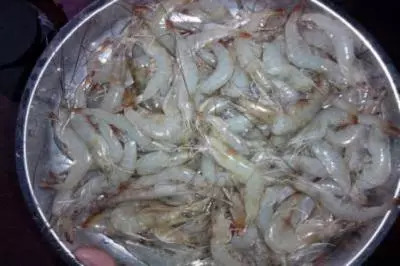 冷冻虾刺破手指怎么处理,海虾刺到手怎么处理