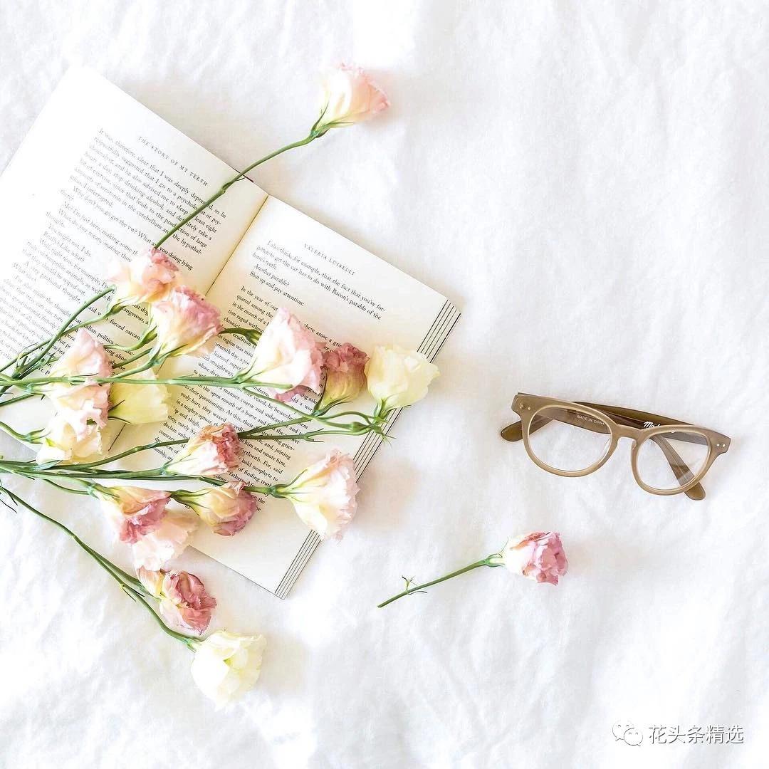 花卉市场的这些猫腻,鲜花行业内幕