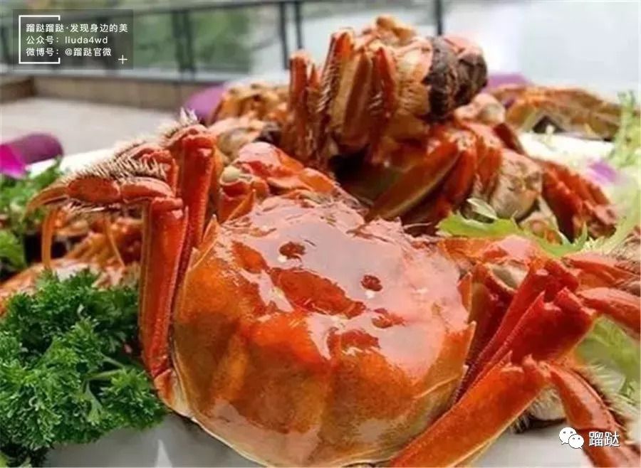 距离北京1小时的地方,北京周边800公里的小众城市