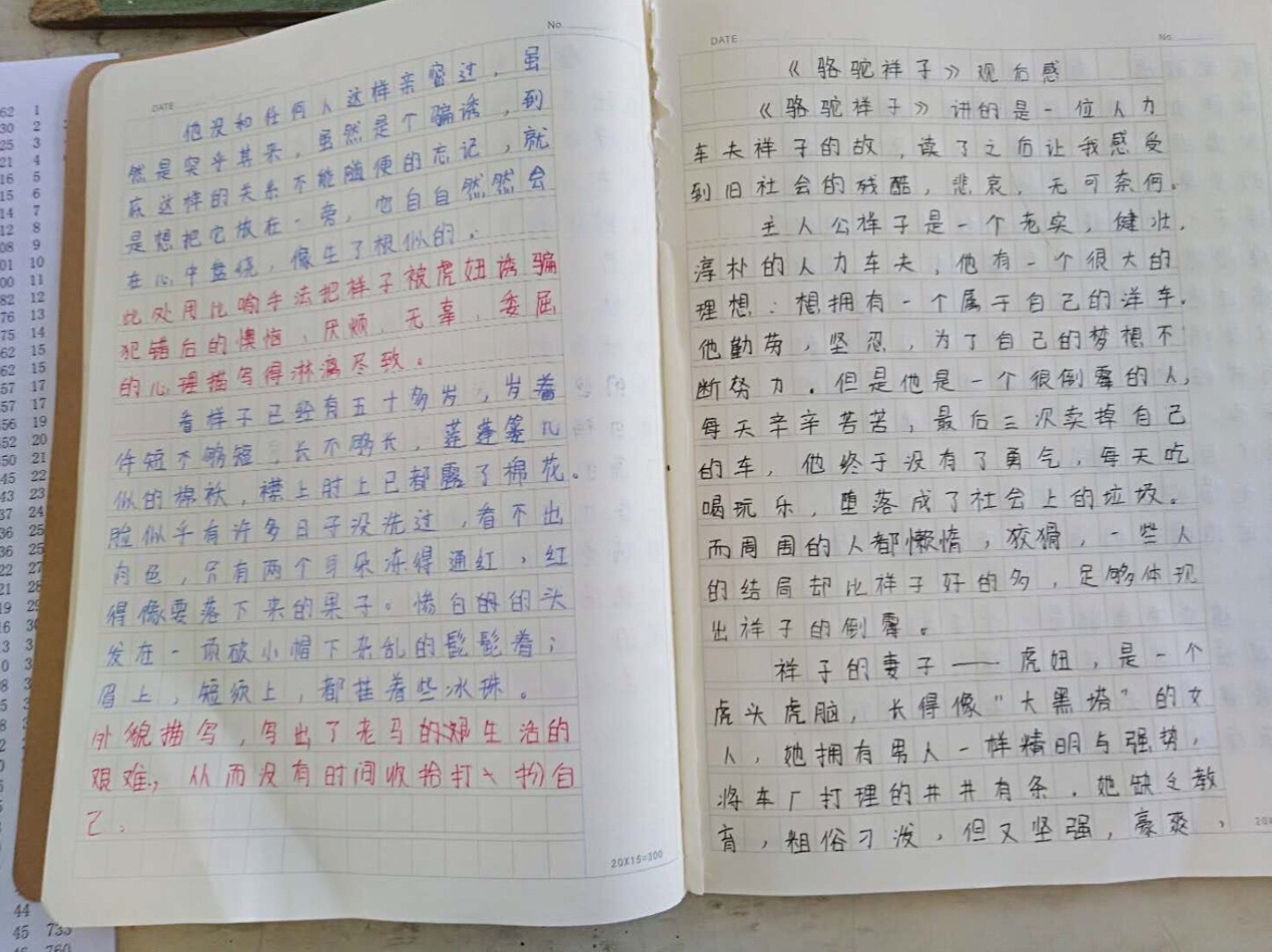 检查暑假作业活动记录,夏令营作业辅导活动简报