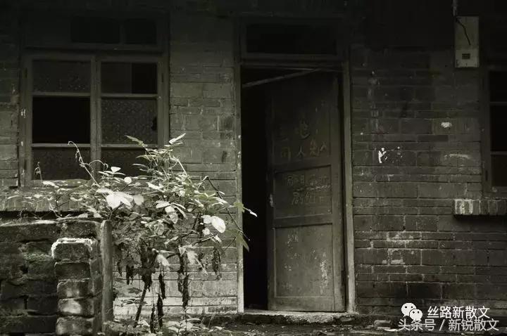 罗锅四舅的传奇人生