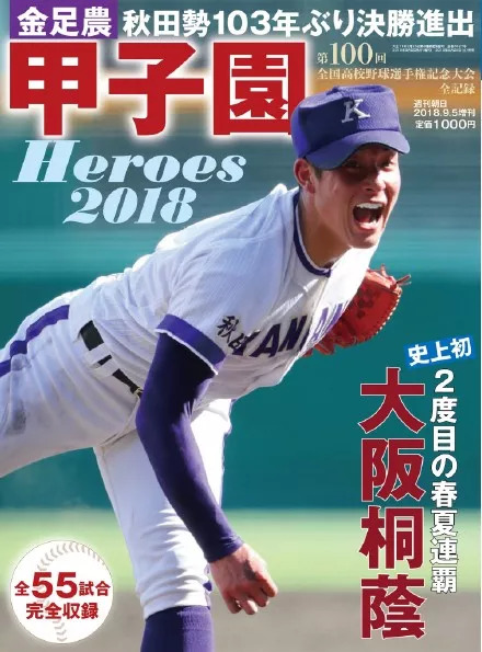 日本甲子园棒球赛,甲子园热血集锦