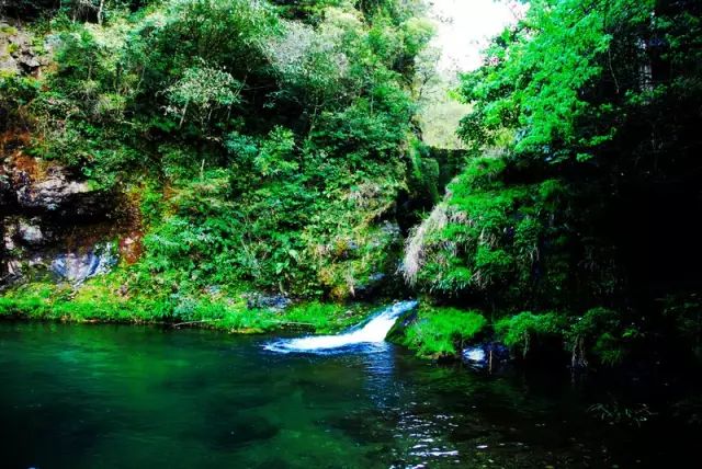 黄山11月1日至12月31日免票政策,黄山人什么时候游九华山免门票