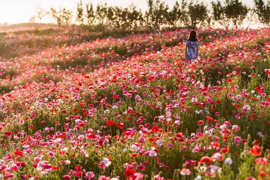 张掖是现在的什么城市,张掖一座被严重低估的城市