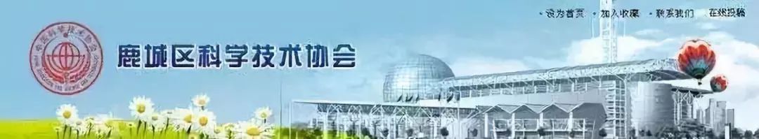 减糖健康科普,健康科普盐吃多了血糖也会升高