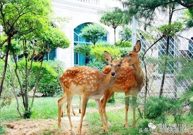 北京京城遛娃指南,北京又添一波遛娃新去处