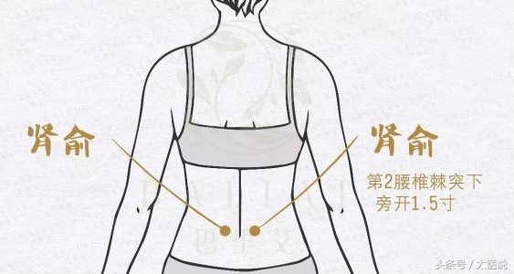 怀孕需要中医调理吗,怀孕前为什么用中医调理