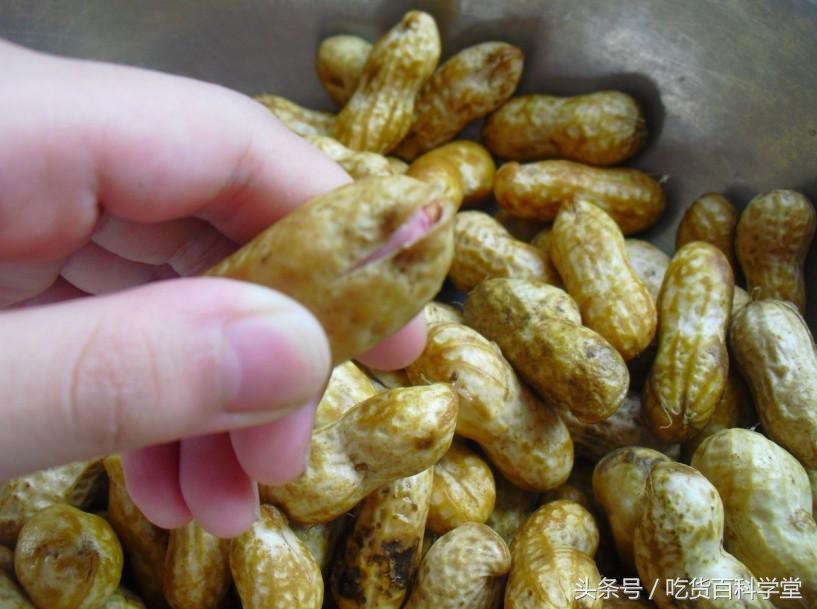 你煮的花生不入味怎么办,花生为什么最好煮着吃