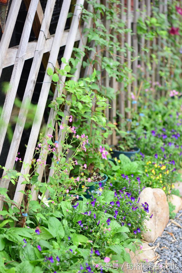 开满鲜花的小路教学设计一等奖,园丁培植万朵花
