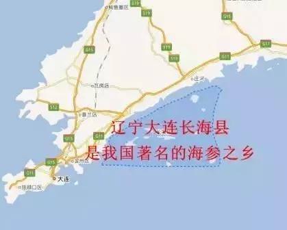 海参事件真相大揭秘,还原海参真相